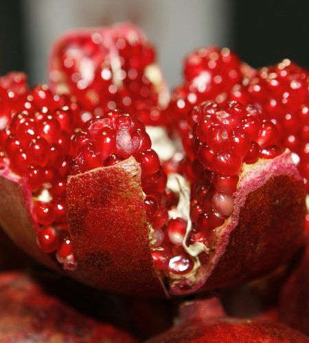 Detailed macro shot of a fresh, vibrant pomegranate exposing its juicy seeds.
